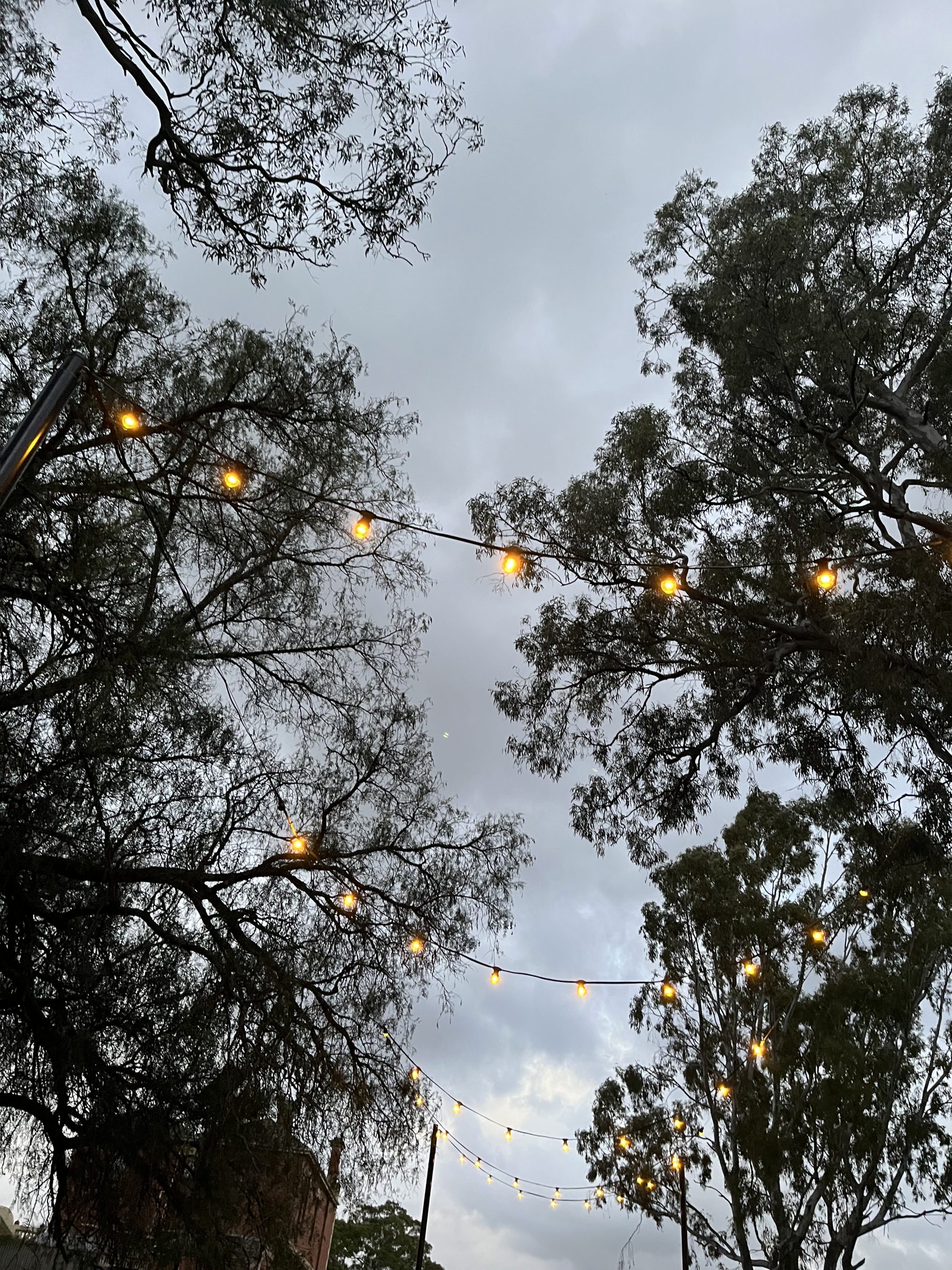 solar decorative lighting