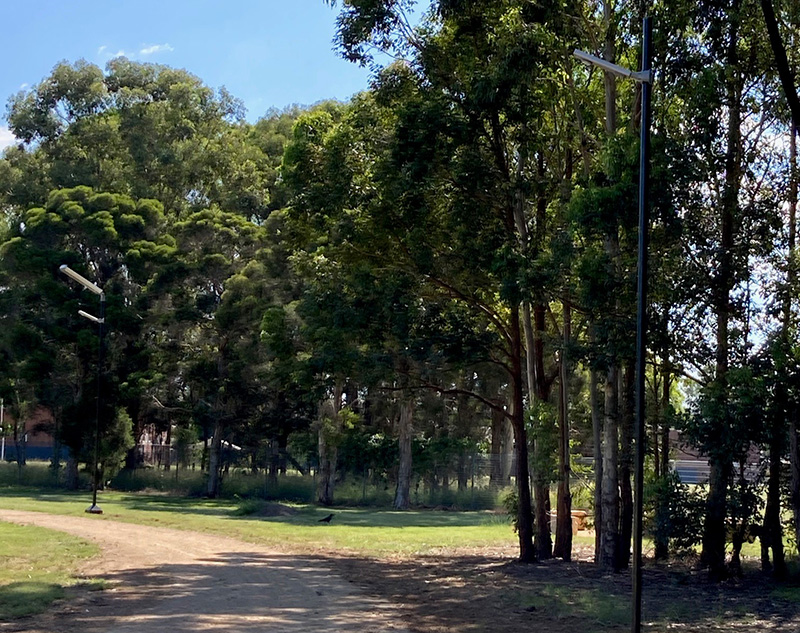Robin Wiles Park solar lighting in Penrith
