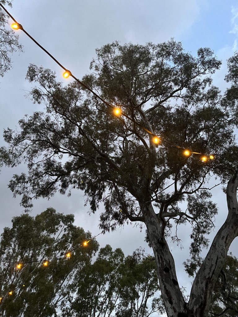 solar decorative lighting